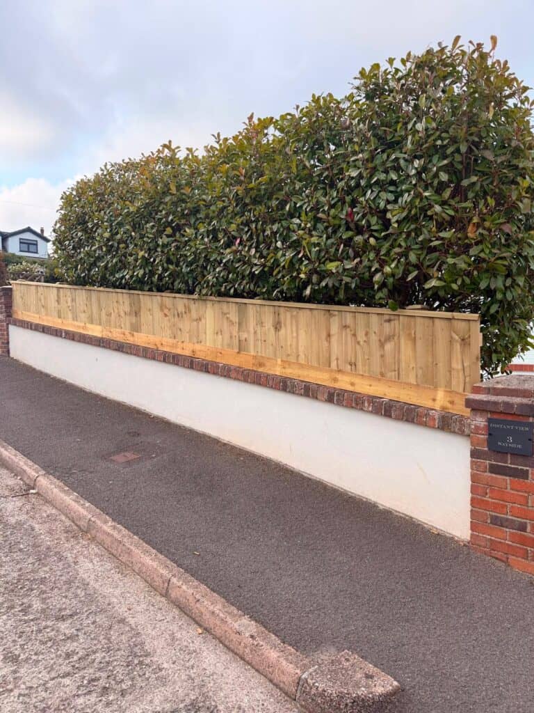New wooden fence installed along a residential property boundary.